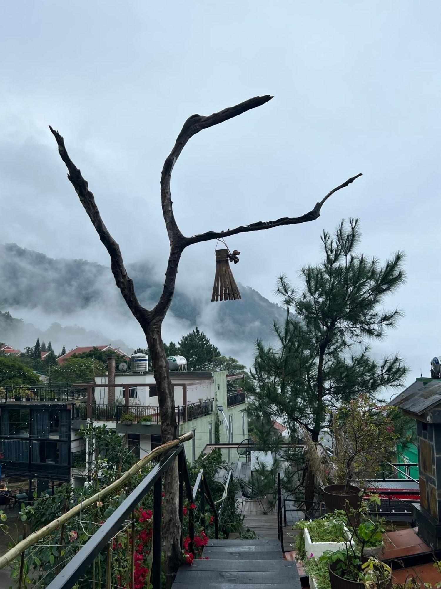 Bach Xanh House. Triangle Bungalow Tam Ðảo Εξωτερικό φωτογραφία